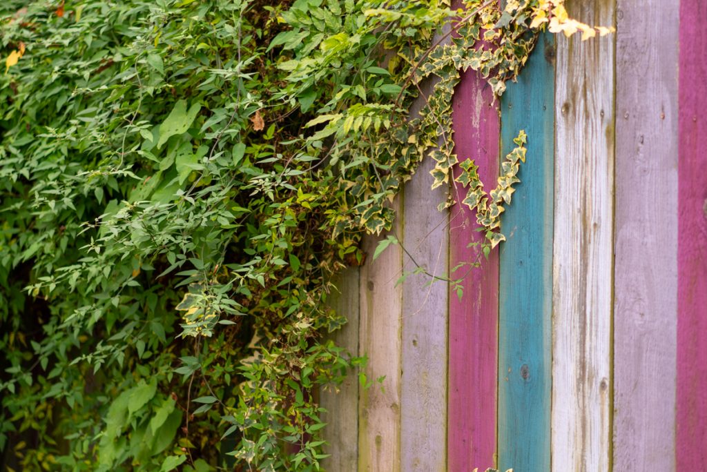 coloured fencing